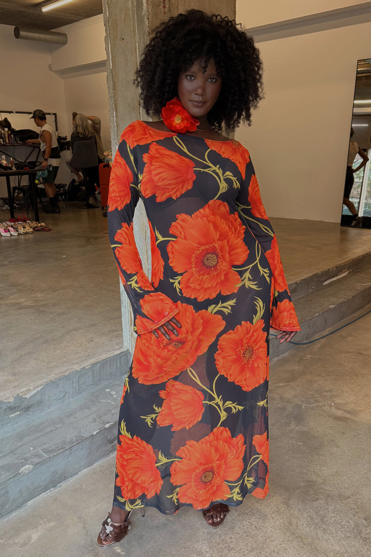 NEVER FULLY DRESSED Black Poppy Aria Mesh Dress Petite